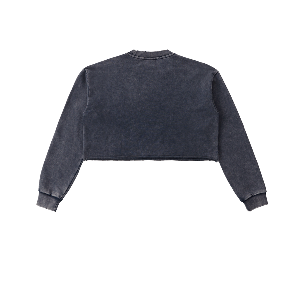 Charcoal "Fun Times" Snow Washed Cropped Sweatshirt